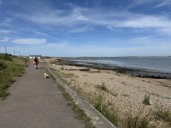 Walking up through Seasalter